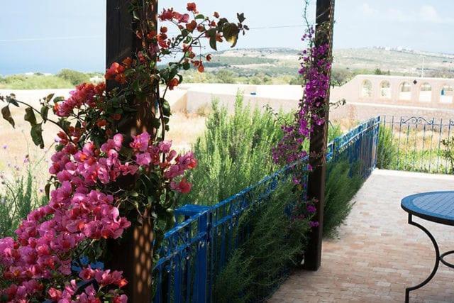 Villa Habibi Essaouira Extérieur photo