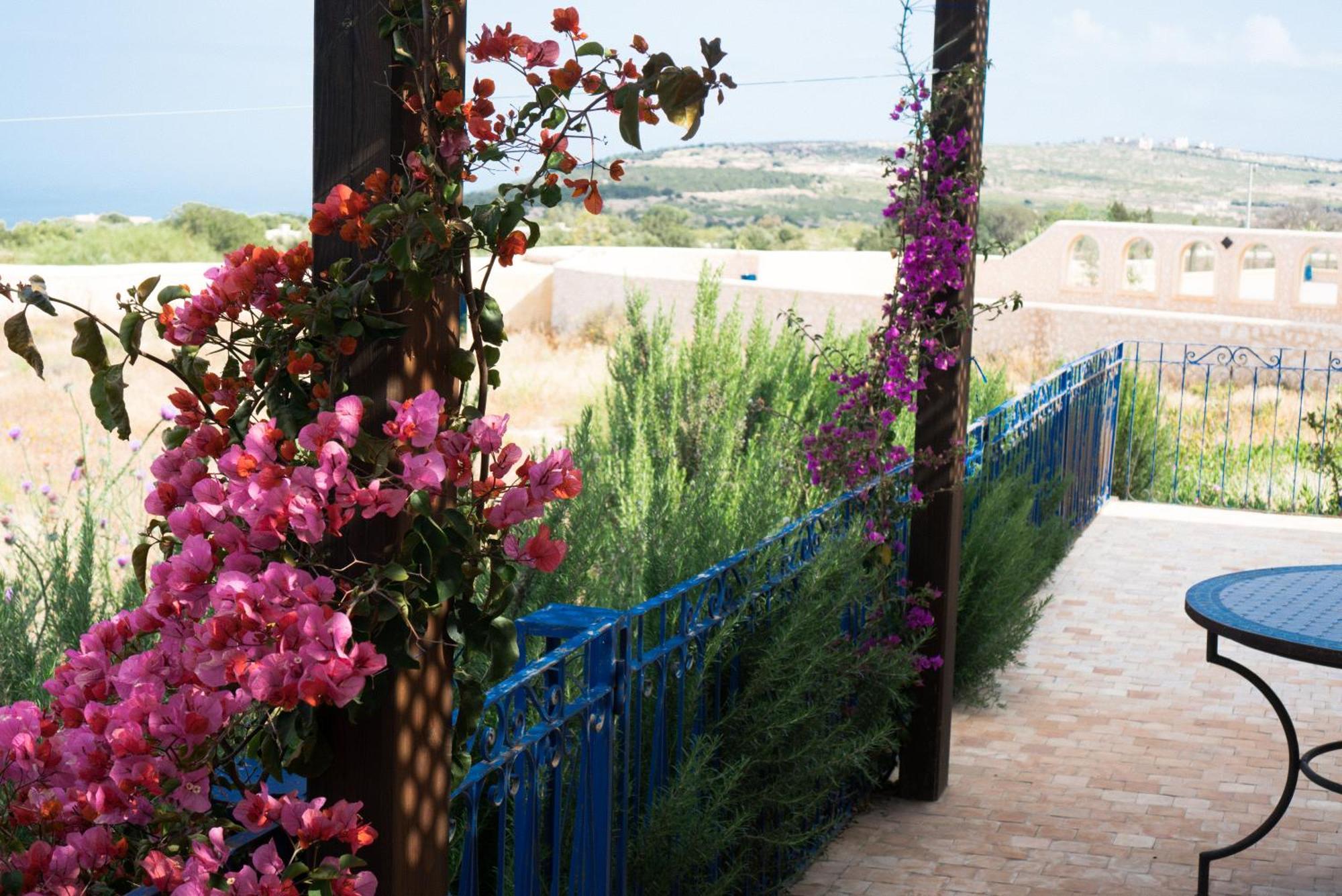Villa Habibi Essaouira Extérieur photo